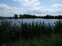 Krásný pohled na chovné rybníky mezi Skalicí a Kátovem II.
