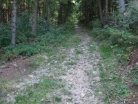 Lesní cesta označená jako těžký terén z rozcestí nad Vladislaví do Vladislavyi