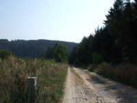 Typická polně-lesní cesta