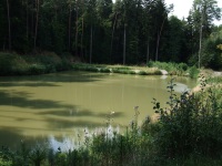 Chvilkový odpočinek u rybníčku kousek od Rabštejnu