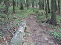 Cesta lesem končící u lanovky - výborná stezka
