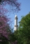 Minaret v Lednickém parku