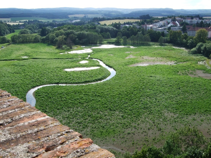 A takhle byl vypuštěn celý rybník