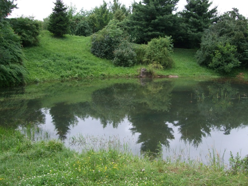 Tučín a jeho lom