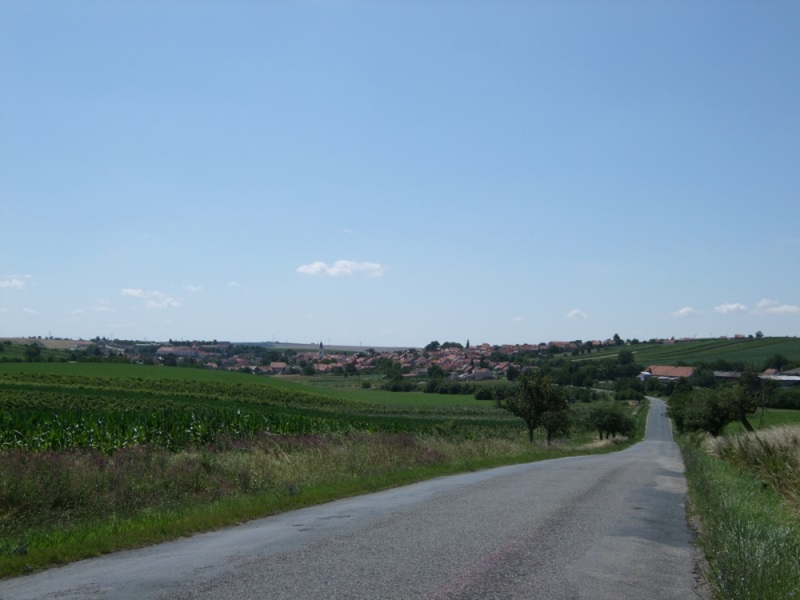 Pohled na Čejkovice