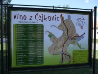 Kompletní seznam vinařů v Čejkovicích - 23...mazec