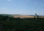 Pohled na vinice za Čejkovicemi