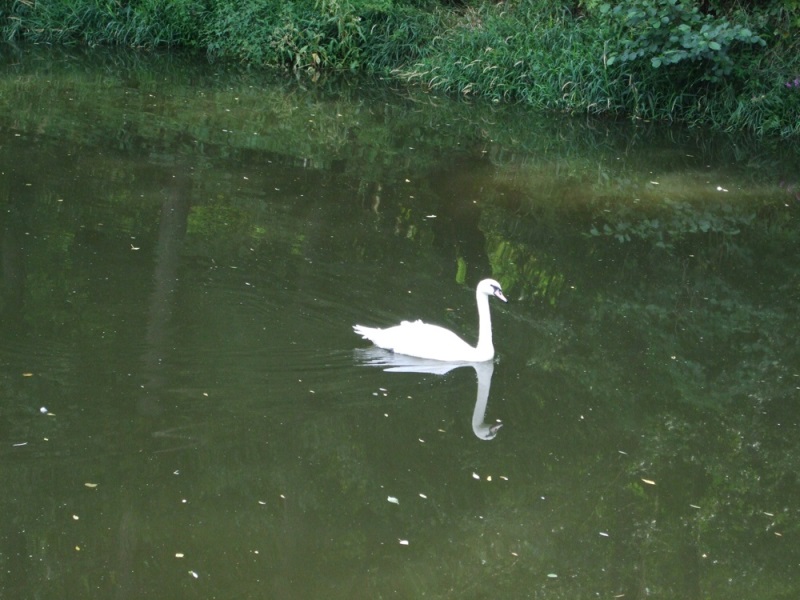 Stříbský mlýn