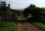Polňačka nad Obřany