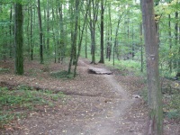 Malá překážková dráha hned za vjezdem do lesa v Soběšicích