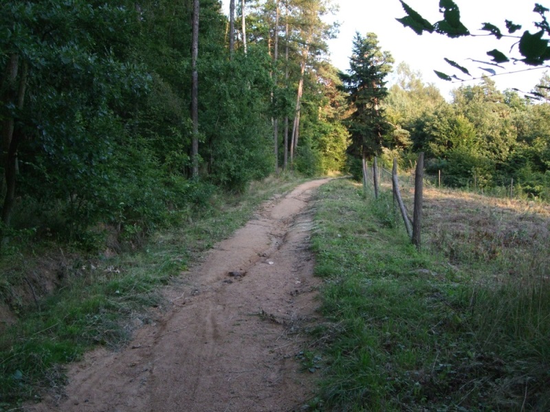 Kus cesty pro představu na čem se jelo...hodně to klouže