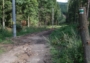 Cesta směrem na Babí doly