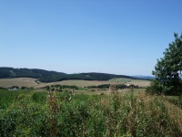 Výhled z Jinačovic na protější kopec - Trnůvka