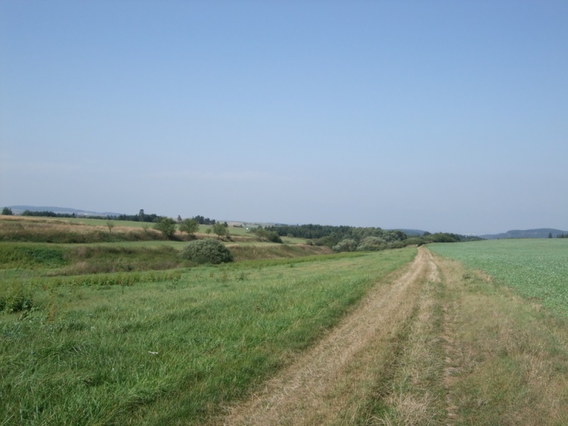 Polní cesta za Koněšínem směrem na Vladislav