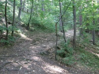 Cesta ke zřícenině Holoubek - MTB dolu a nahoru pěkně tlačit...