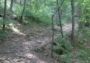 Cesta ke zřícenině Holoubek - MTB dolu a nahoru pěkně tlačit...