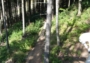 Pohledy z lanovky na trasu po červené - Hřebenovka