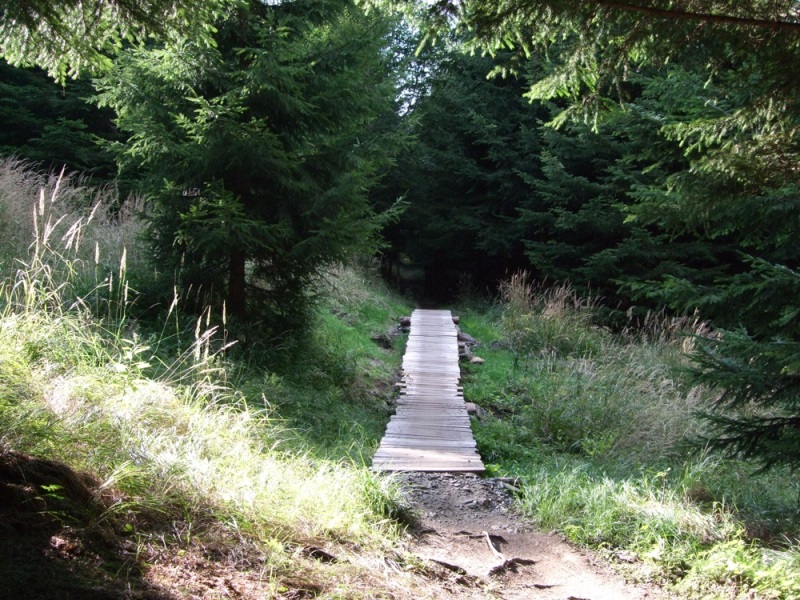 Cesta lesem končící u lanovky - výborná stezka