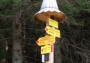 Výlez na Tetřeví chatu - 1165m