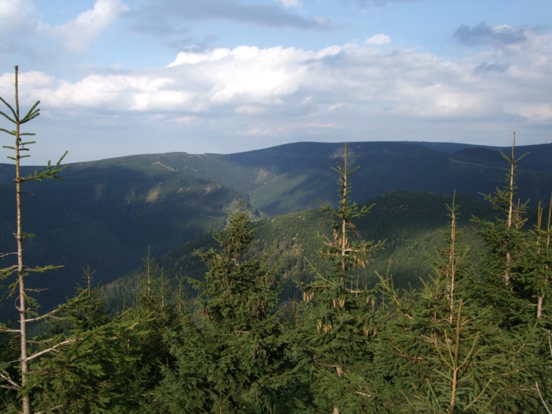 Výhled na Medvědí hřbet, Velký děd a Praděd