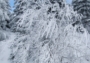 Zimní foto a krása výhledu z Medvědí hory a okolí