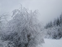 Zimní foto a krása výhledu z Medvědí hory a okolí