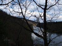 jarní příroda za mostem pod hradem Veveří...je tam krásně nato že je duben:)