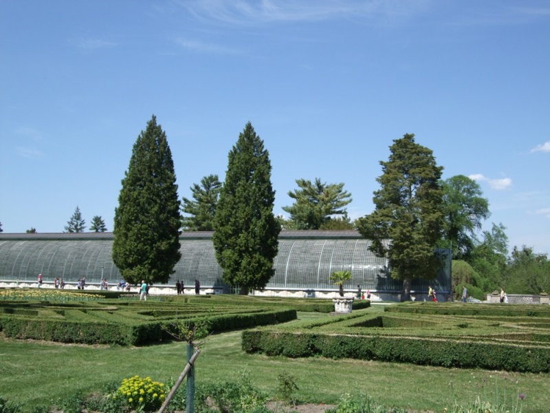 Lednický park a kusy z něj