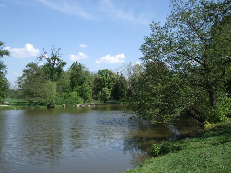 Lednický park a kusy z něj