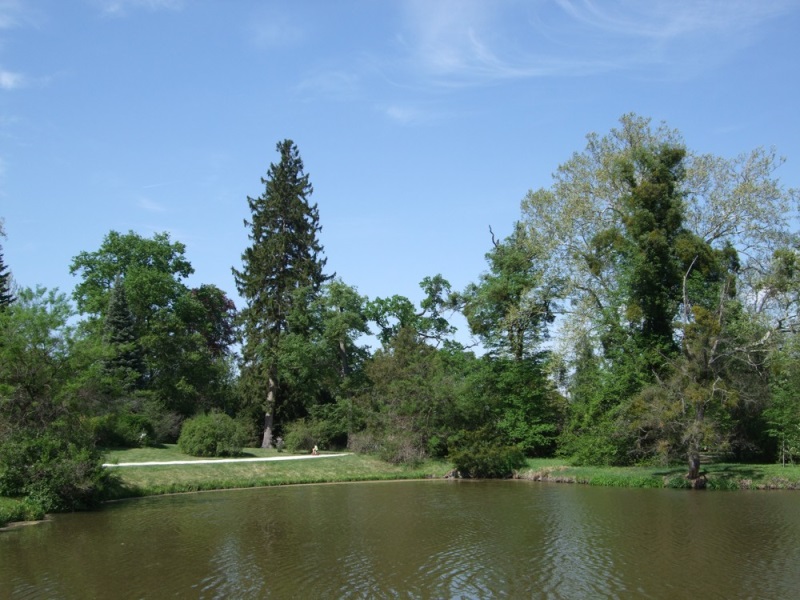 Lednický park a kusy z něj